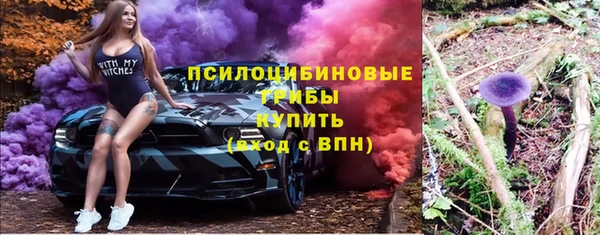 ПСИЛОЦИБИНОВЫЕ ГРИБЫ Киренск
