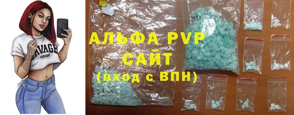 ГАЛЛЮЦИНОГЕННЫЕ ГРИБЫ Фёдоровский