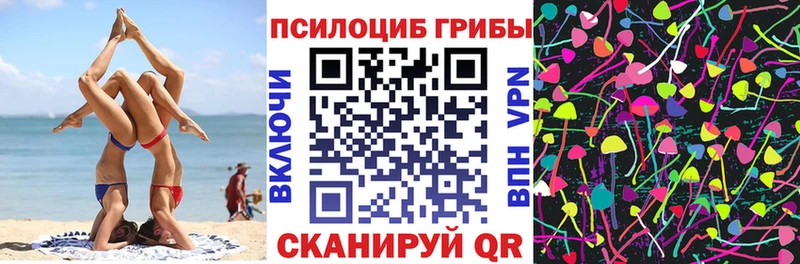 Галлюциногенные грибы GOLDEN TEACHER  Купить  Свободный 